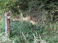 0IMG_7148