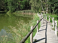 0IMG_7165