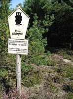 0IMG_7167