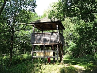 0IMG_7168