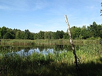 0IMG_7175