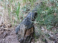 0IMG_7176