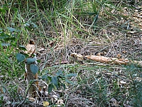 0IMG_7177