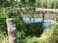 0IMG_7181