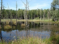 0IMG_7185