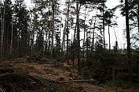 01-in-die-dastelloecher
