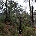 03-in-die-dastelloecher