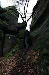 30-rueckweg-dastelloecher