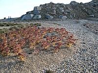 11-findlingspark-nochten