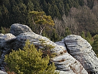 gamrig
