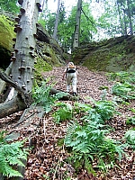 03-zum-heulenberggipfel