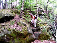 07-steinstufen-heulenberg