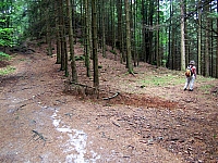 06-abzweig-am-gr-pohlshorn