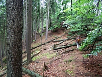 07-abzweig-am-gr-pohlshorn