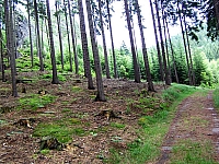 12-oberer-hirschewaldweg