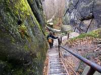 02-zurueckesteig