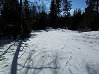 06-schmaler-waldweg