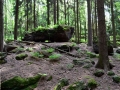 Steinbrechersteig - Foto: Wanderfreak