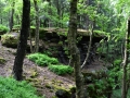 Steinbrechersteig