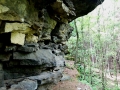 Steinbrechersteig