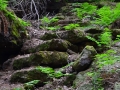 Steinbrechersteig - Foto: Wanderfreak