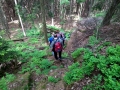 Steinbrechersteig