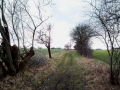 03-marsdorfer-rundweg