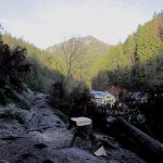 Blick vom Flößersteig auf die Felsenmühle