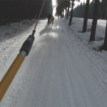 Altenberg Schlepplift Altenberg Schlepplift