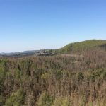 Blick vom Rabentürmchen zum Neuen Wildenstein (Kuhstall) Blick vom Rabentürmchen zum Neuen Wildenstein (Kuhstall)