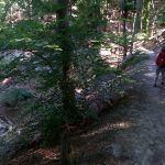 auf schmalen Pfaden zur Barbarossahöhle auf schmalen Pfaden zur Barbarossahöhle