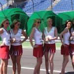 die Gridgirls die Gridgirls