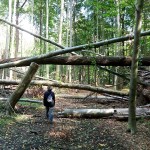 Bilder: nach dem Tornado 2010 Bilder: nach dem Tornado 2010