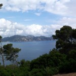 Blick über die Bucht von Pollenca