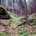 zum Kleinen Pohlshorn zum Kleinen Pohlshorn