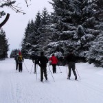 von Zinnwald zum Lugstein