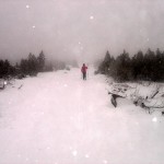 ungemütlich im Schneetreiben