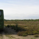 mit dem Bus ins NSG