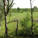 Ausblick