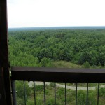 Blick vom Haselbergturm