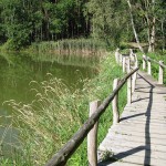 Bildergalerie Bildergalerie