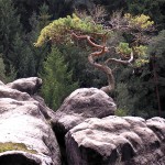 Glatter-Stein-Weg Glatter-Stein-Weg