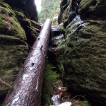 Speisekammerstiege Speisekammerstiege