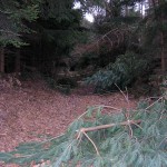 Weg auf den Keulenberg