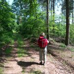auf dem Kyffhäuserweg auf dem Kyffhäuserweg