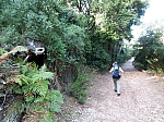 massanella-03
