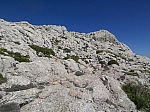 massanella-11