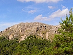 tomir-01
