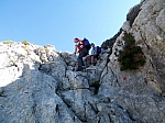 tomir-06