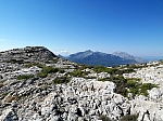 tomir-07